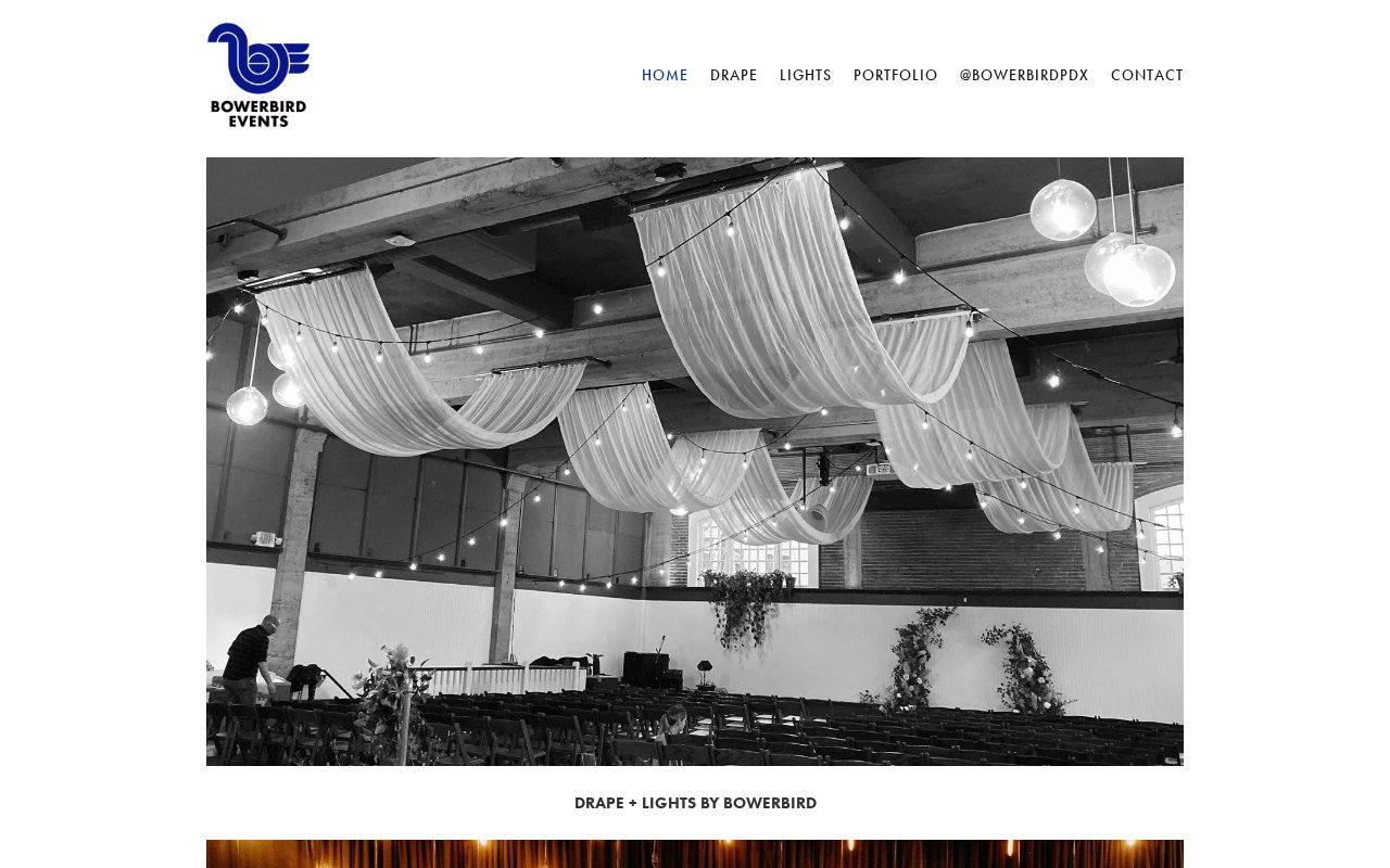 Bowerbird Events