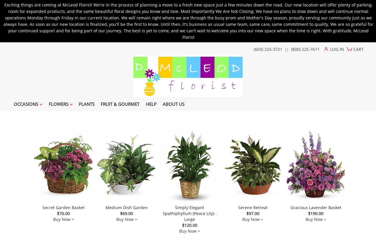 D. Mcleod, Inc., Florist