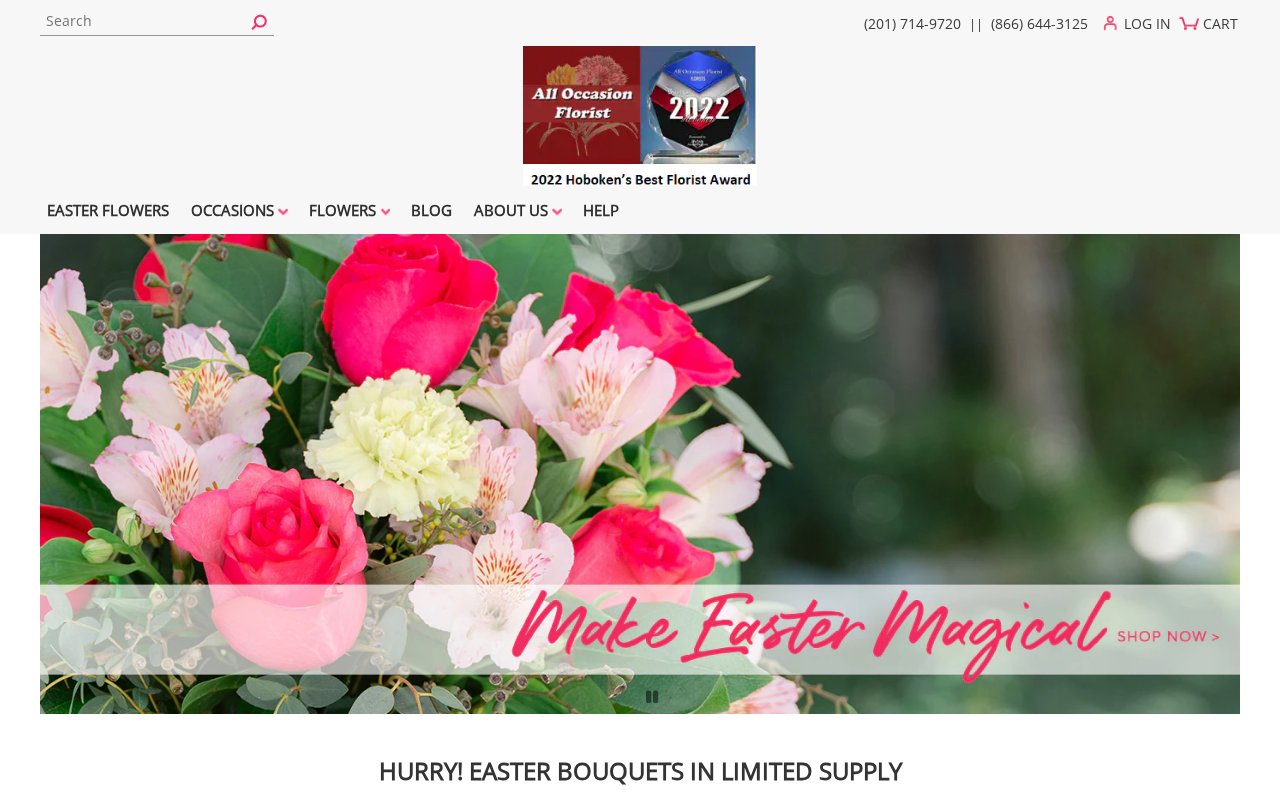 All Occasion Florist